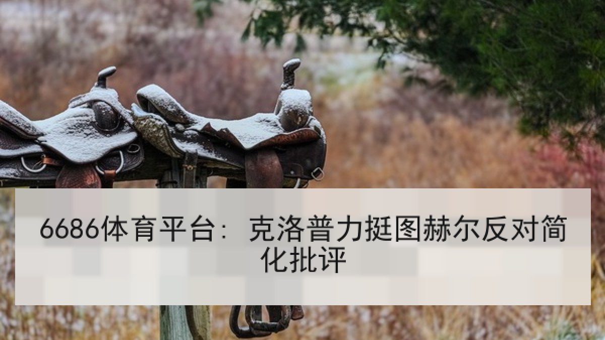 6686体育平台: 克洛普力挺图赫尔反对简化批评 6686体育平台: 克洛普力挺图赫尔反对简化批评